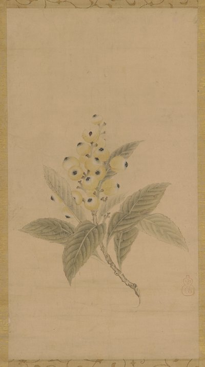 Větev mišpulí, období Edo, 17. století. od Kanō Tan’yū