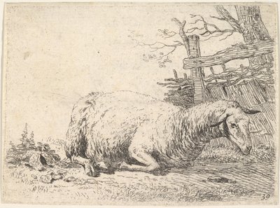 Ovce ležící se složenýma nohama pod tělem vedle dřevěného plotu, ona..., ca. 1655. od Karel Du Jardin
