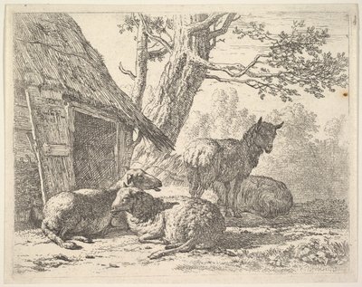 Čtyři ovce, jedna ovce stojí mezi třemi dalšími ležícími na zemi vedle kůlny s t..., 1658. od Karel Du Jardin