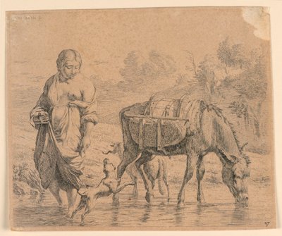 Venkovská žena a Sumpter překračující potok od Karel Du Jardin