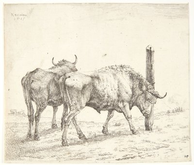Dva voli od Karel Du Jardin