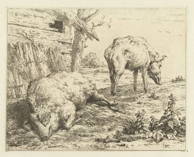 dva kanci od Karel Du Jardin