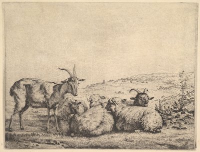 Dvě kozy a tři ovce, 1655. od Karel Du Jardin