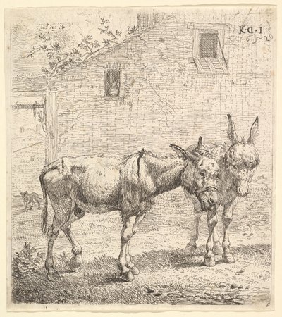 Dva osli stojící na travnatém dvoře, jeden v pohledu z profilu vpravo a druhý za..., 1652. od Karel Du Jardin