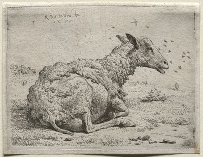Ovce a mouchy od Karel Dujardin