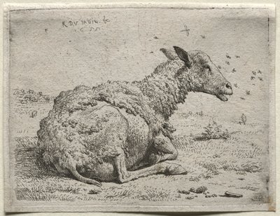 Ovce a mouchy. od Karel Dujardin