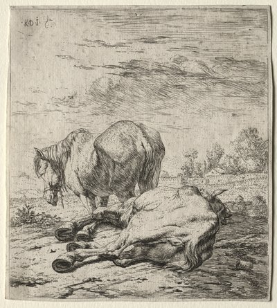 Dva koně od Karel Dujardin