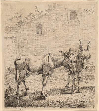 Dva osli od Karel Dujardin