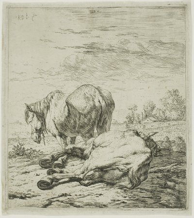 Dva koně od Karel Dujardin