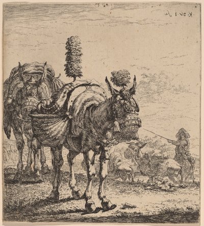 Dva mezci od Karel Dujardin