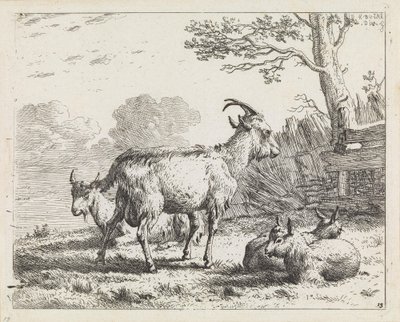  od Karel Dujardin