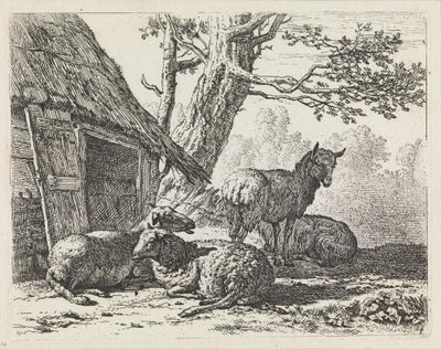  od Karel Dujardin