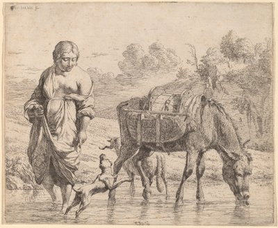 Žena přes potok od Karel Dujardin