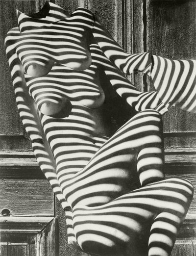 Zebra Ladies od Karel Teige
