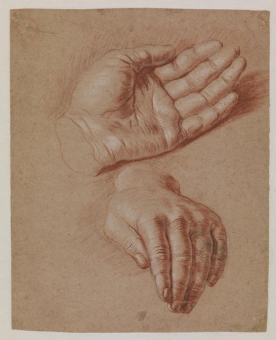 Studie dvou rukou. od Karel van III Mander