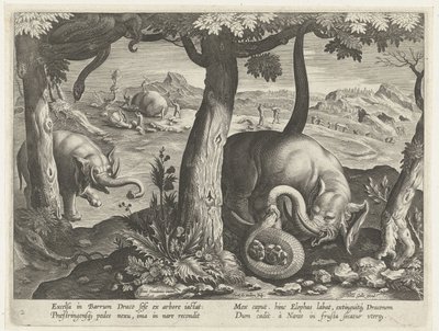 Olifant se v boji setkal se slangem Jachttaferelen (název série) Lov divoké zvěře, drůbeže a ryb v Bestiáři (název série) od Karel van Mallery (attributed to)