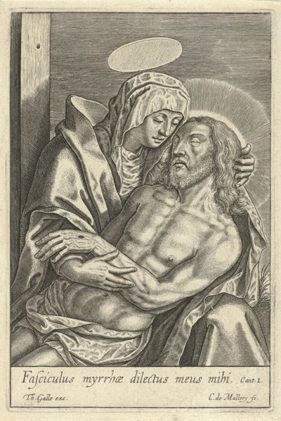 Pieta od Karel van Mallery
