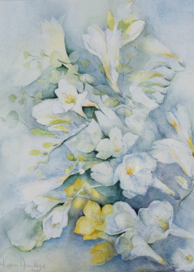 Frézie Eldus, obří bílá od Karen Armitage