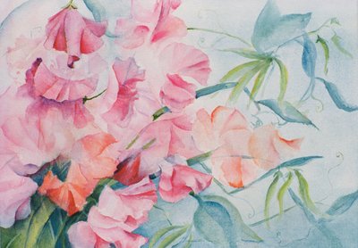 Lathyrus Odoratus, sladký hrášek (horizontální) od Karen Armitage