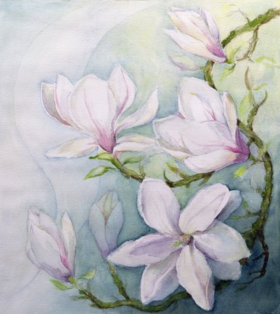 Magnolie (wc) od Karen Armitage