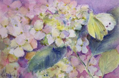 Bledě zakalený žlutý motýl, Colias Hyale na hortenzii od Karen Armitage