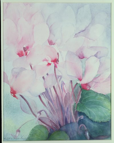 Růžový Cyclamen, Victoria od Karen Armitage