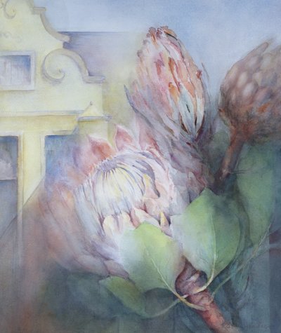 Protea ve Stellenboschi, 1992 (wc) od Karen Armitage