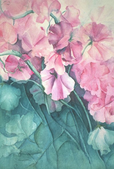 Sweet Peas, Pink Pride (vertikální) od Karen Armitage