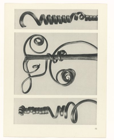 plánovat studii Archetypy umění (název série) od Karl Blossfeldt