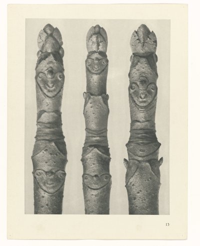 plánovat studii Archetypy umění (název série) od Karl Blossfeldt