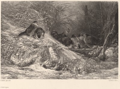 Úkryt před mrazem od Karl Bodmer