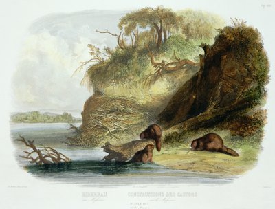 Beaver Hut na Missouri, deska 17 ze svazku 1 „Cesty ve vnitrozemí Severní Ameriky“, vyryl Friedrich Salathe (1793-1858) 1843 (akvatinta) od Karl Bodmer