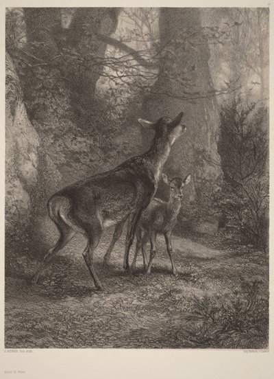 Lanička a koloušek od Karl Bodmer