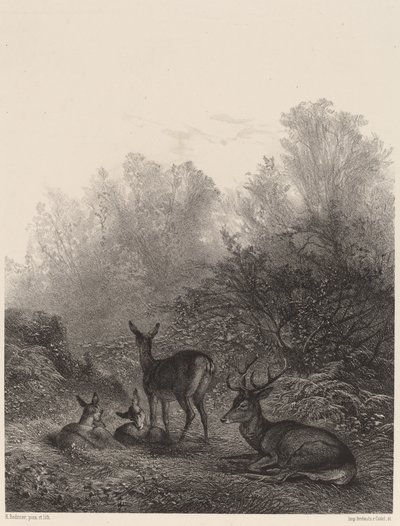Jelen odpočívá od Karl Bodmer