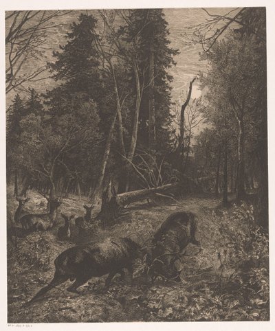 Pohled na les se dvěma bojujícími jeleny od Karl Bodmer