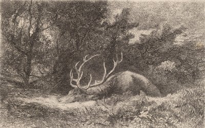 Jelen a la Reposee. od Karl Bodmer