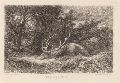 Jelen a la Reposee od Karl Bodmer