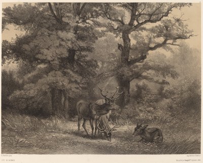 Jelen v Gagnage. od Karl Bodmer
