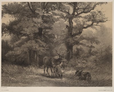 Pasoucí se jeleni od Karl Bodmer