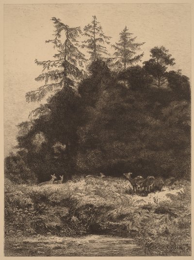 Daňci v parku od Karl Bodmer