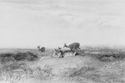 Jeleni v krajině od Karl Bodmer
