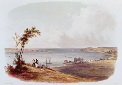 Vstup do zálivu New York, Staten Island, vyryto Salathe (barva litho) od Karl Bodmer