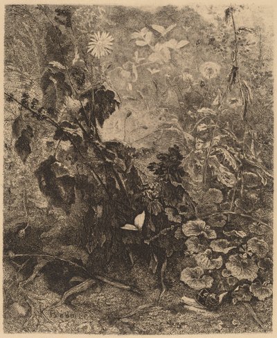 Šneci a motýli. od Karl Bodmer