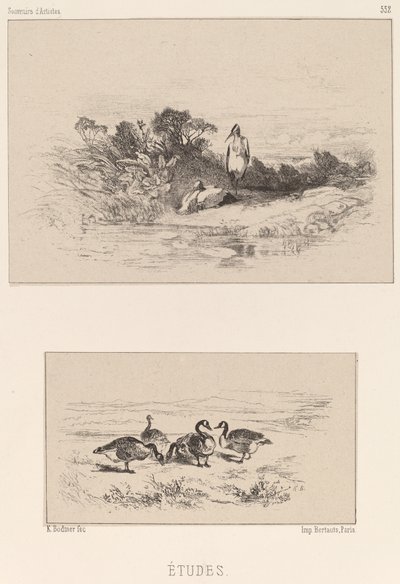 Studie od Karl Bodmer