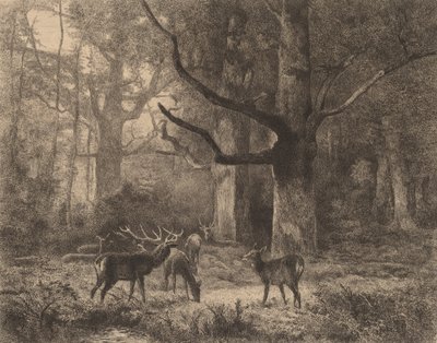Les Fontainebleau. od Karl Bodmer