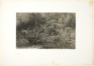 Liška na lovu od Karl Bodmer