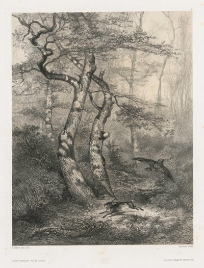Zajíc pronásledovaný jestřábem od Karl Bodmer