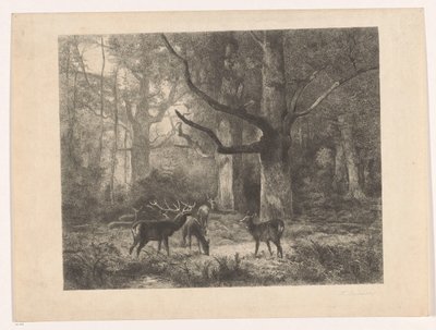 Jelen v lese od Karl Bodmer