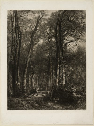 V lese od Karl Bodmer