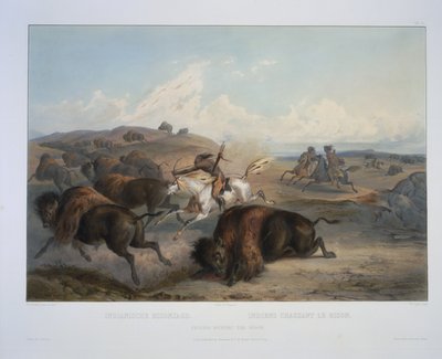 Indiáni lovící bizony od Karl Bodmer
